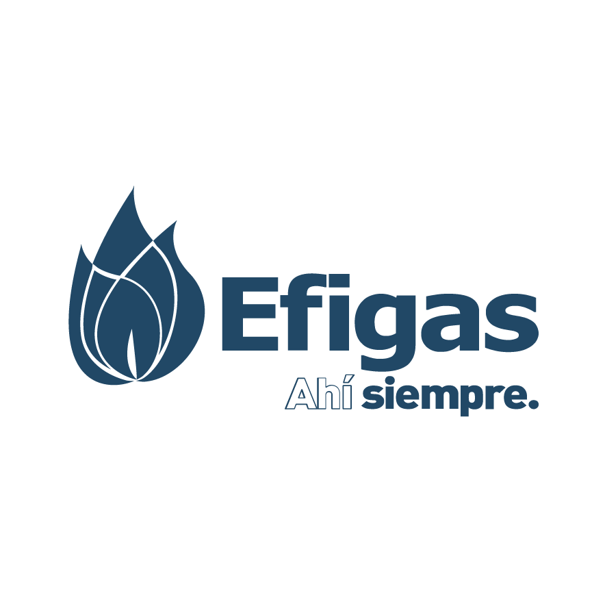 EFIGAS-10